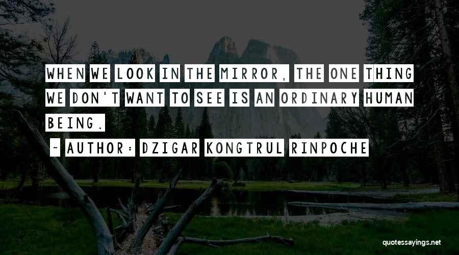 Dzigar Kongtrul Rinpoche Quotes: When We Look In The Mirror, The One Thing We Don't Want To See Is An Ordinary Human Being.