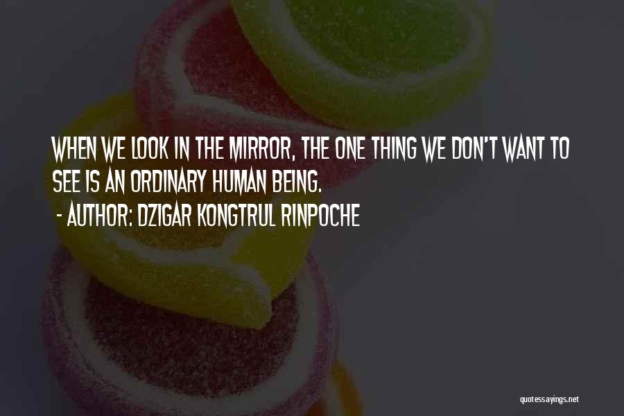 Dzigar Kongtrul Rinpoche Quotes: When We Look In The Mirror, The One Thing We Don't Want To See Is An Ordinary Human Being.