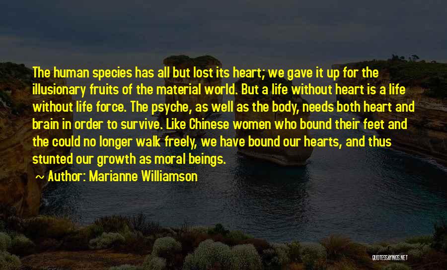 Marianne Williamson Quotes: The Human Species Has All But Lost Its Heart; We Gave It Up For The Illusionary Fruits Of The Material