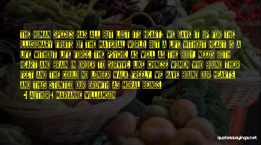 Marianne Williamson Quotes: The Human Species Has All But Lost Its Heart; We Gave It Up For The Illusionary Fruits Of The Material