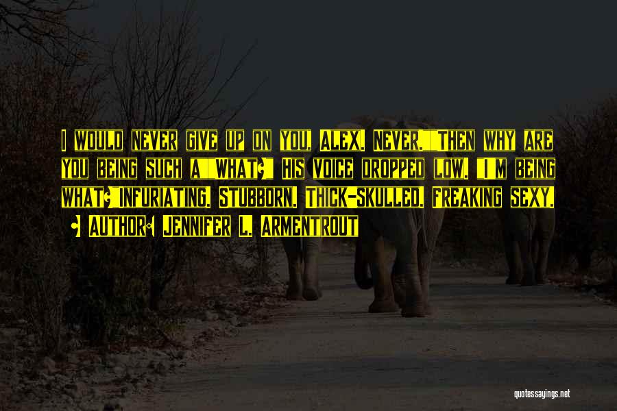 Jennifer L. Armentrout Quotes: I Would Never Give Up On You, Alex. Never.then Why Are You Being Such Awhat? His Voice Dropped Low. I'm