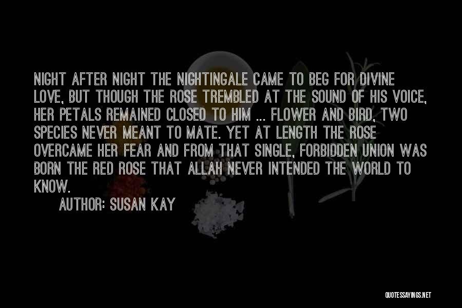 Susan Kay Quotes: Night After Night The Nightingale Came To Beg For Divine Love, But Though The Rose Trembled At The Sound Of