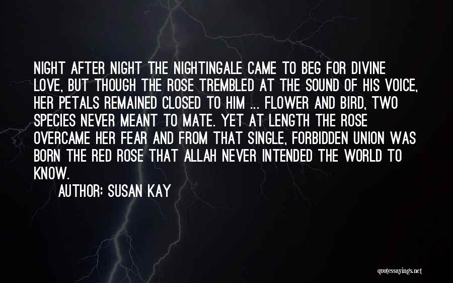 Susan Kay Quotes: Night After Night The Nightingale Came To Beg For Divine Love, But Though The Rose Trembled At The Sound Of