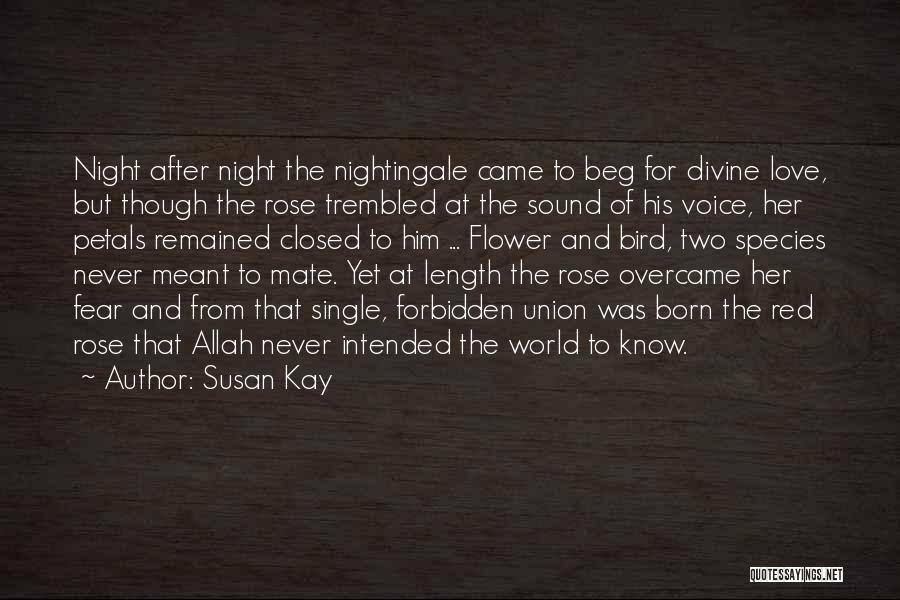 Susan Kay Quotes: Night After Night The Nightingale Came To Beg For Divine Love, But Though The Rose Trembled At The Sound Of