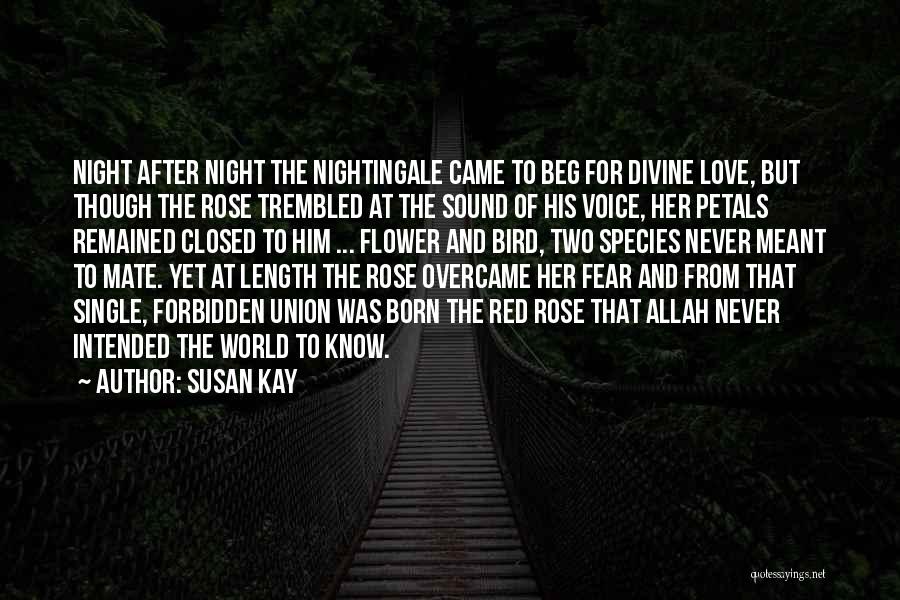 Susan Kay Quotes: Night After Night The Nightingale Came To Beg For Divine Love, But Though The Rose Trembled At The Sound Of