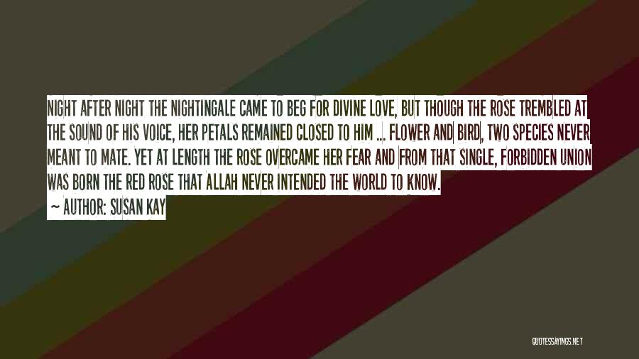 Susan Kay Quotes: Night After Night The Nightingale Came To Beg For Divine Love, But Though The Rose Trembled At The Sound Of