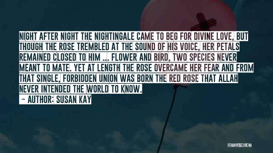 Susan Kay Quotes: Night After Night The Nightingale Came To Beg For Divine Love, But Though The Rose Trembled At The Sound Of