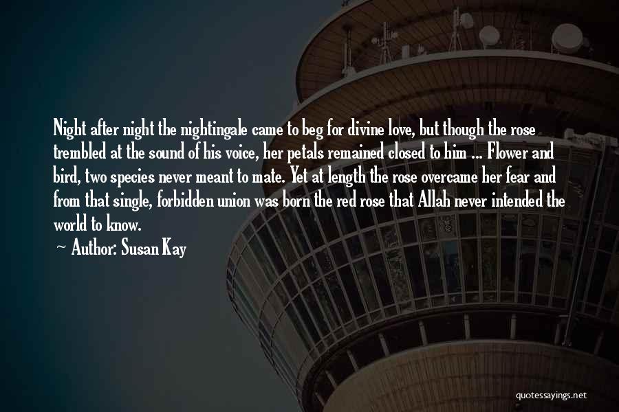 Susan Kay Quotes: Night After Night The Nightingale Came To Beg For Divine Love, But Though The Rose Trembled At The Sound Of