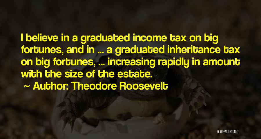 Theodore Roosevelt Quotes: I Believe In A Graduated Income Tax On Big Fortunes, And In ... A Graduated Inheritance Tax On Big Fortunes,