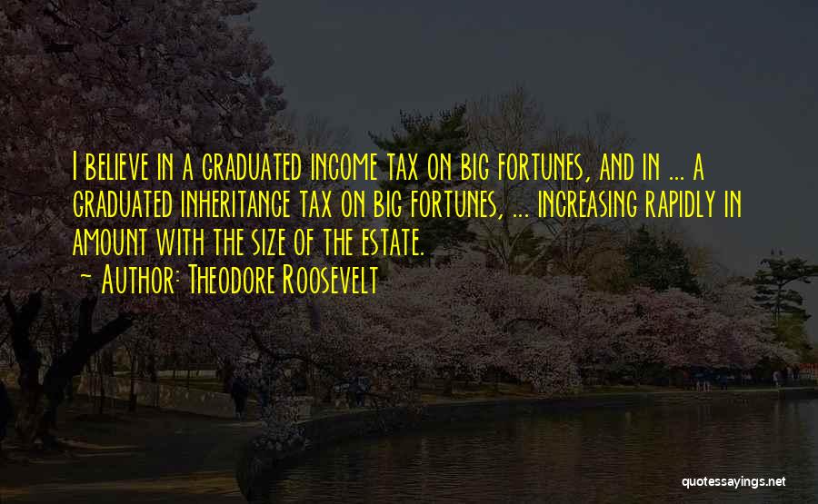 Theodore Roosevelt Quotes: I Believe In A Graduated Income Tax On Big Fortunes, And In ... A Graduated Inheritance Tax On Big Fortunes,