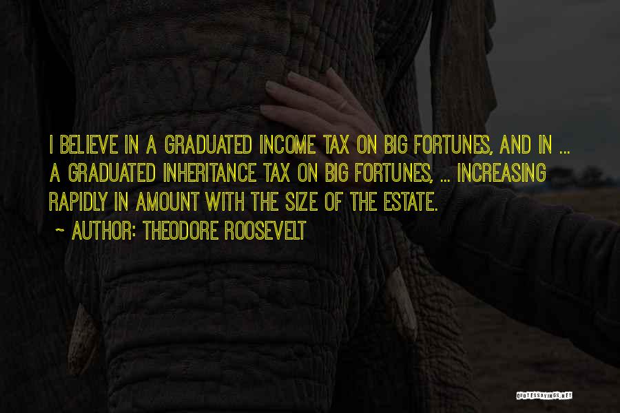 Theodore Roosevelt Quotes: I Believe In A Graduated Income Tax On Big Fortunes, And In ... A Graduated Inheritance Tax On Big Fortunes,