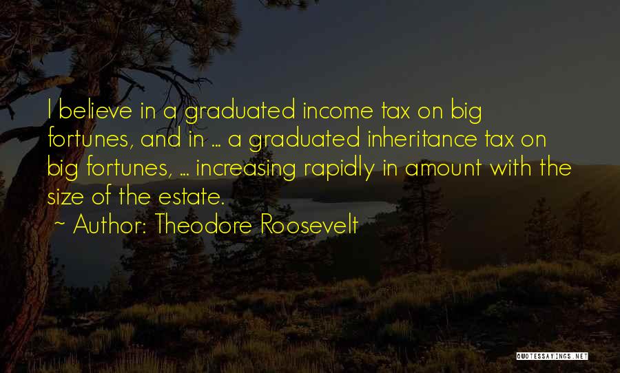 Theodore Roosevelt Quotes: I Believe In A Graduated Income Tax On Big Fortunes, And In ... A Graduated Inheritance Tax On Big Fortunes,