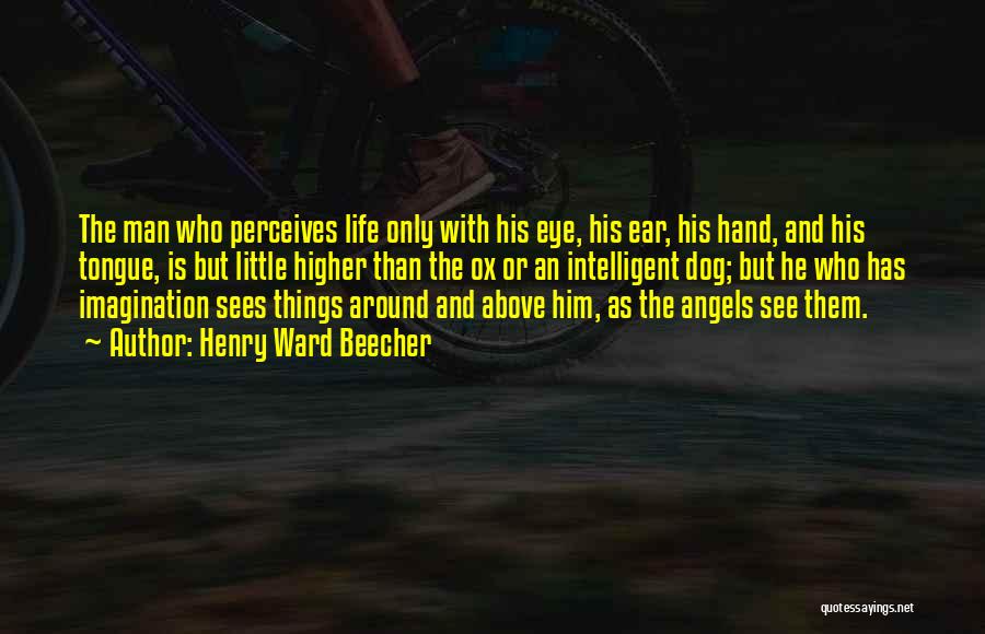 Henry Ward Beecher Quotes: The Man Who Perceives Life Only With His Eye, His Ear, His Hand, And His Tongue, Is But Little Higher