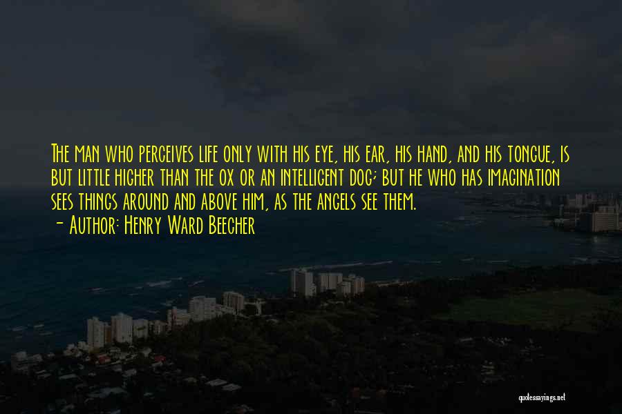 Henry Ward Beecher Quotes: The Man Who Perceives Life Only With His Eye, His Ear, His Hand, And His Tongue, Is But Little Higher