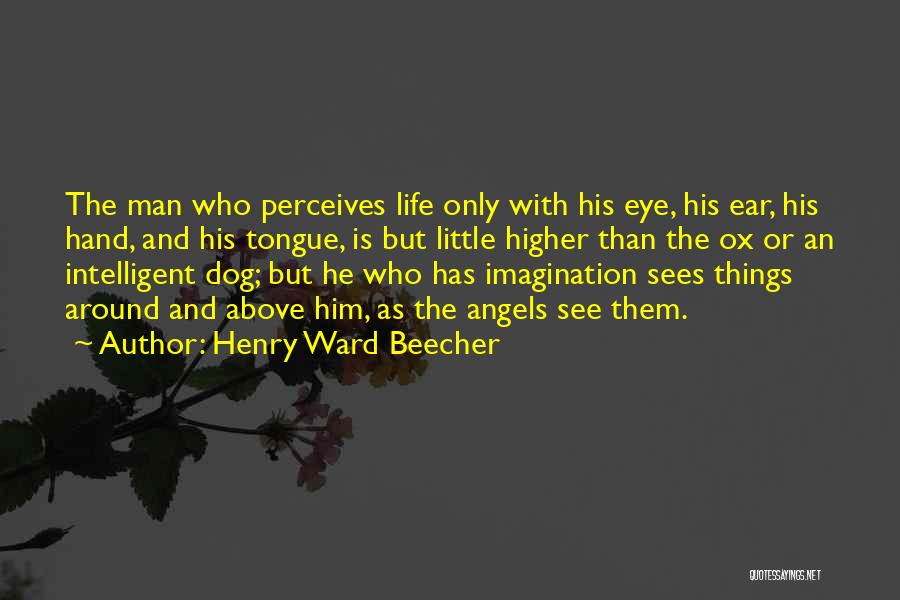 Henry Ward Beecher Quotes: The Man Who Perceives Life Only With His Eye, His Ear, His Hand, And His Tongue, Is But Little Higher