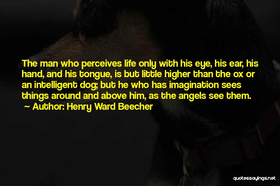 Henry Ward Beecher Quotes: The Man Who Perceives Life Only With His Eye, His Ear, His Hand, And His Tongue, Is But Little Higher