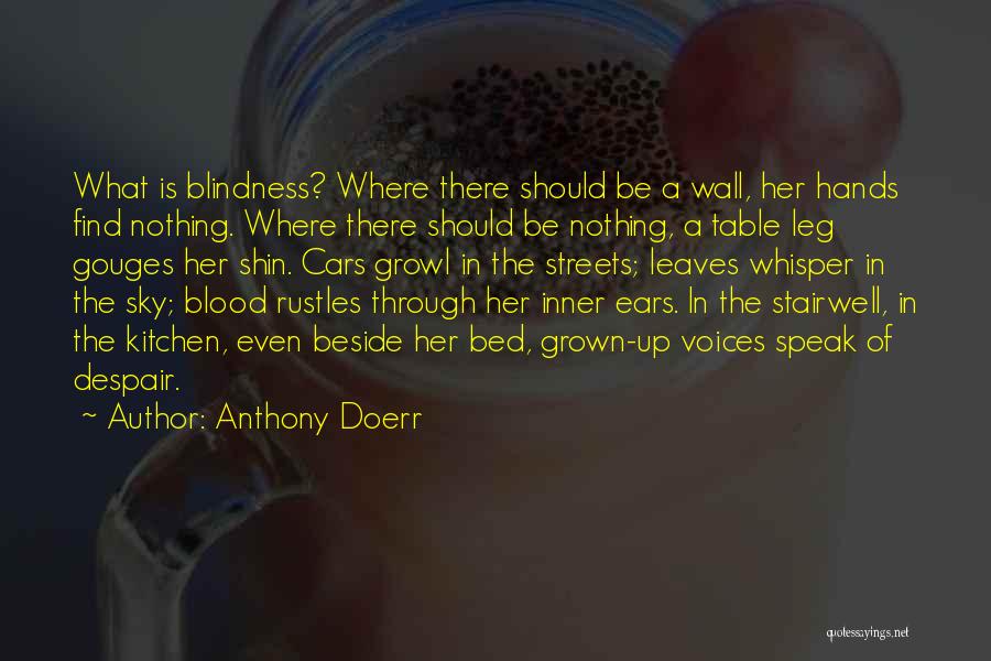 Anthony Doerr Quotes: What Is Blindness? Where There Should Be A Wall, Her Hands Find Nothing. Where There Should Be Nothing, A Table