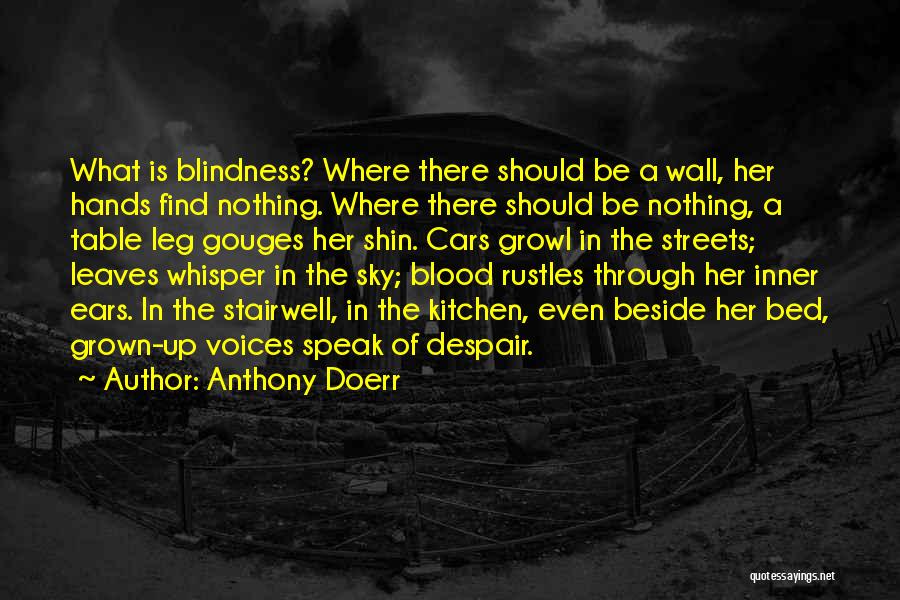 Anthony Doerr Quotes: What Is Blindness? Where There Should Be A Wall, Her Hands Find Nothing. Where There Should Be Nothing, A Table