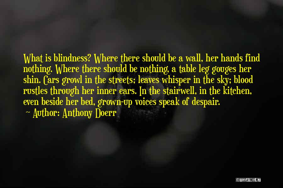 Anthony Doerr Quotes: What Is Blindness? Where There Should Be A Wall, Her Hands Find Nothing. Where There Should Be Nothing, A Table