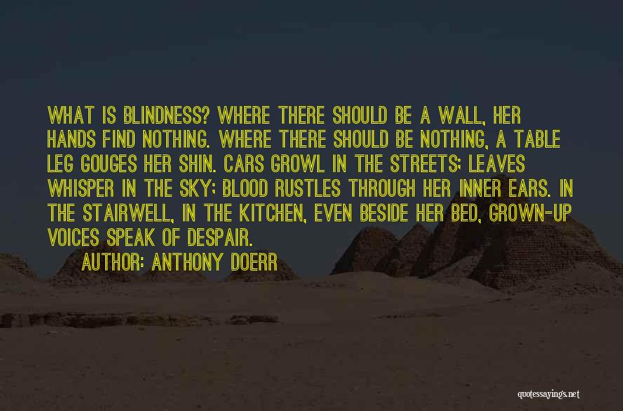 Anthony Doerr Quotes: What Is Blindness? Where There Should Be A Wall, Her Hands Find Nothing. Where There Should Be Nothing, A Table