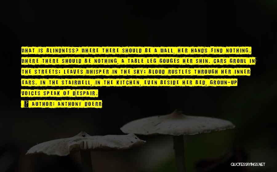 Anthony Doerr Quotes: What Is Blindness? Where There Should Be A Wall, Her Hands Find Nothing. Where There Should Be Nothing, A Table