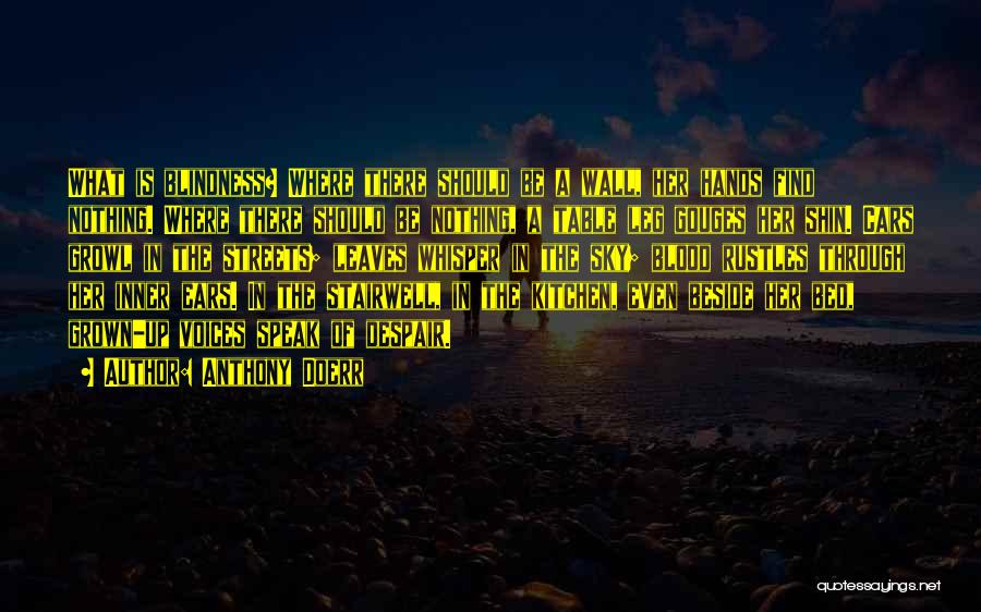 Anthony Doerr Quotes: What Is Blindness? Where There Should Be A Wall, Her Hands Find Nothing. Where There Should Be Nothing, A Table