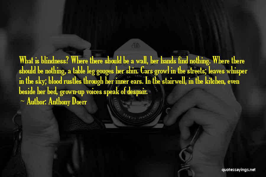 Anthony Doerr Quotes: What Is Blindness? Where There Should Be A Wall, Her Hands Find Nothing. Where There Should Be Nothing, A Table