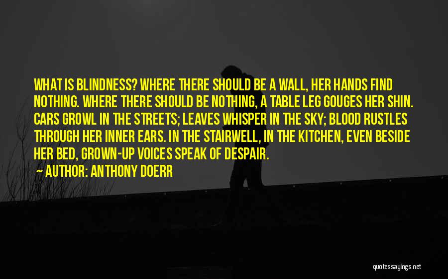 Anthony Doerr Quotes: What Is Blindness? Where There Should Be A Wall, Her Hands Find Nothing. Where There Should Be Nothing, A Table