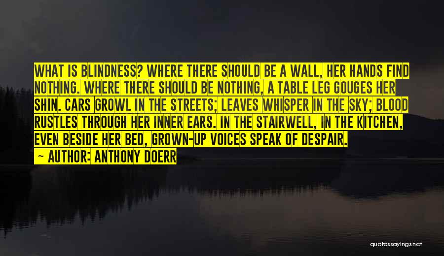 Anthony Doerr Quotes: What Is Blindness? Where There Should Be A Wall, Her Hands Find Nothing. Where There Should Be Nothing, A Table