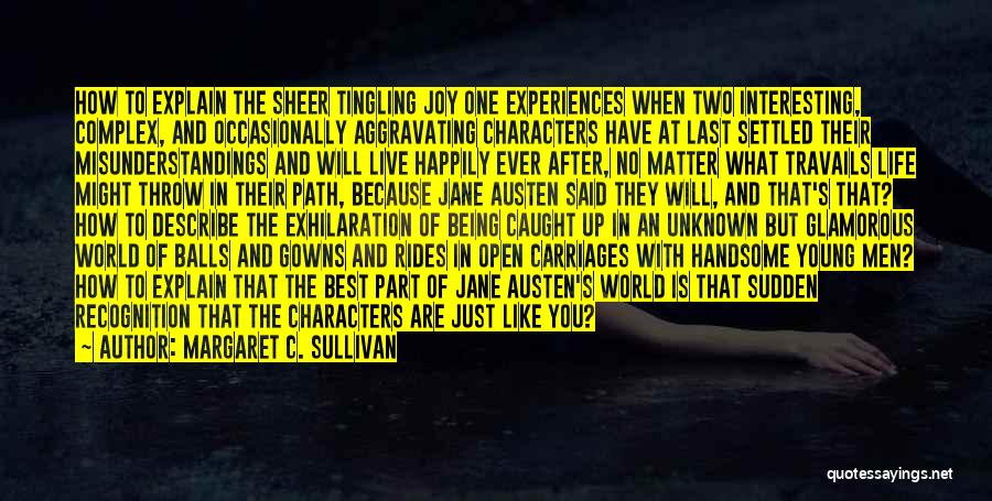 Margaret C. Sullivan Quotes: How To Explain The Sheer Tingling Joy One Experiences When Two Interesting, Complex, And Occasionally Aggravating Characters Have At Last