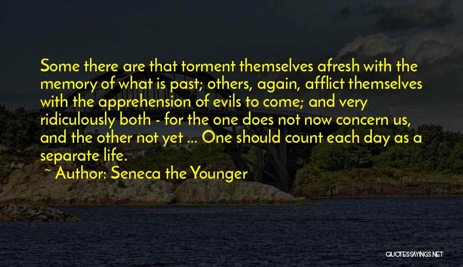 Seneca The Younger Quotes: Some There Are That Torment Themselves Afresh With The Memory Of What Is Past; Others, Again, Afflict Themselves With The