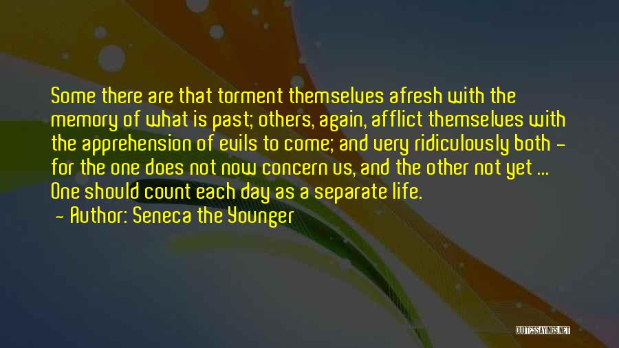 Seneca The Younger Quotes: Some There Are That Torment Themselves Afresh With The Memory Of What Is Past; Others, Again, Afflict Themselves With The