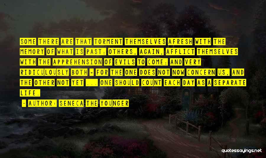 Seneca The Younger Quotes: Some There Are That Torment Themselves Afresh With The Memory Of What Is Past; Others, Again, Afflict Themselves With The