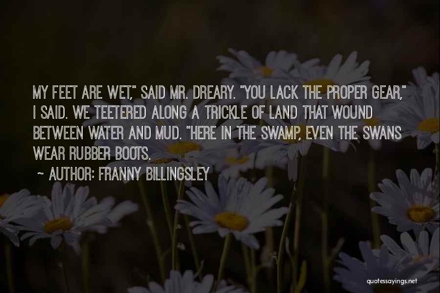 Franny Billingsley Quotes: My Feet Are Wet, Said Mr. Dreary. You Lack The Proper Gear, I Said. We Teetered Along A Trickle Of