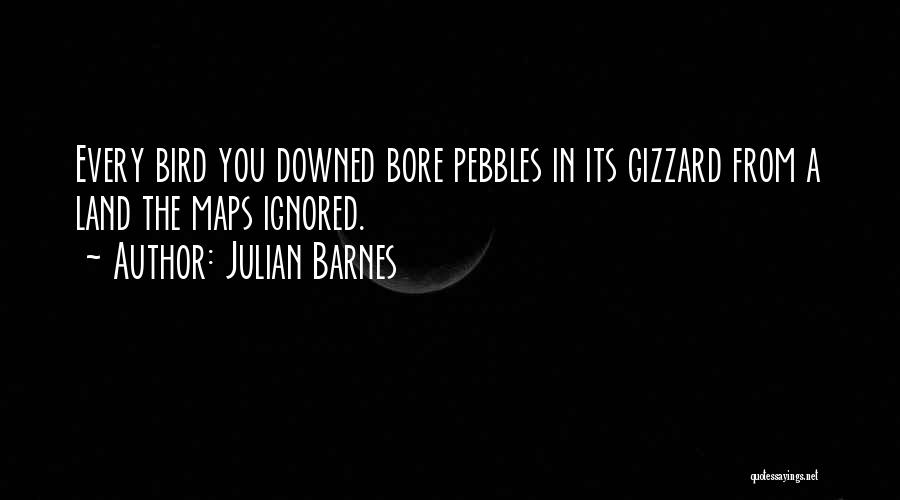 Julian Barnes Quotes: Every Bird You Downed Bore Pebbles In Its Gizzard From A Land The Maps Ignored.