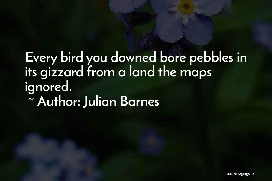 Julian Barnes Quotes: Every Bird You Downed Bore Pebbles In Its Gizzard From A Land The Maps Ignored.