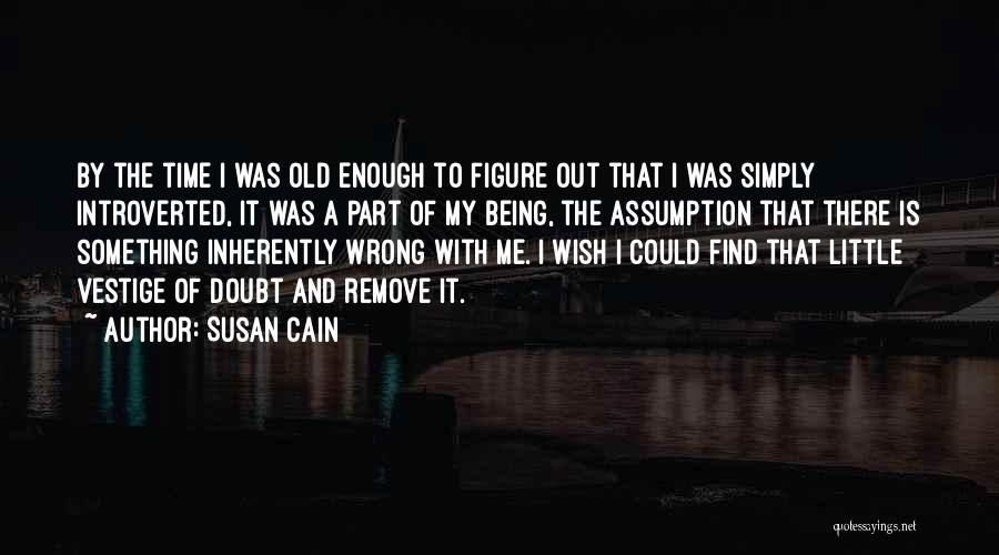 Susan Cain Quotes: By The Time I Was Old Enough To Figure Out That I Was Simply Introverted, It Was A Part Of