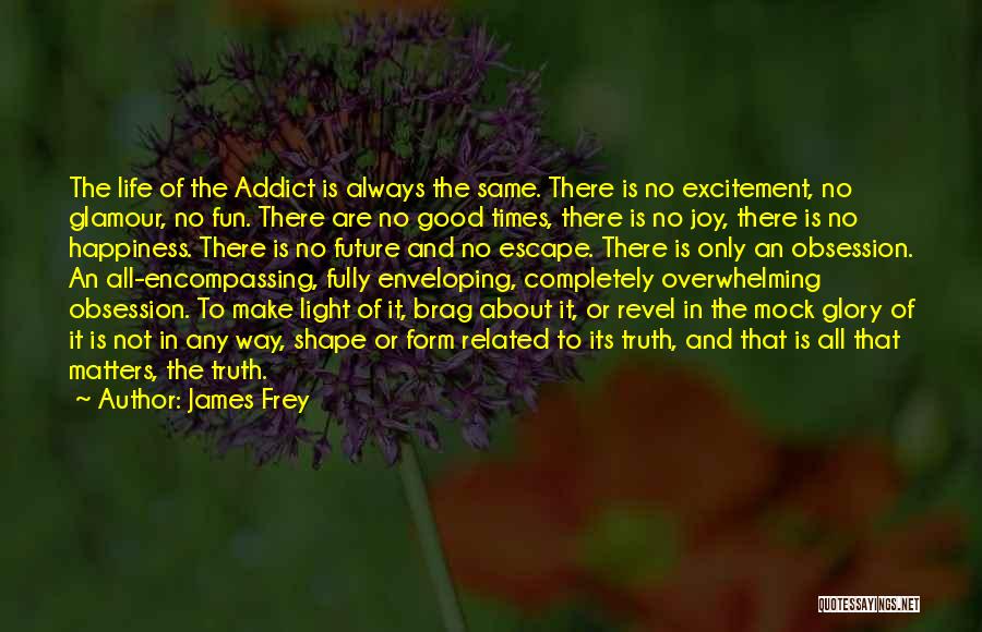 James Frey Quotes: The Life Of The Addict Is Always The Same. There Is No Excitement, No Glamour, No Fun. There Are No