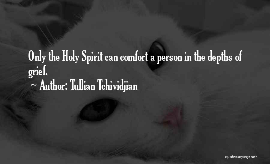 Tullian Tchividjian Quotes: Only The Holy Spirit Can Comfort A Person In The Depths Of Grief.