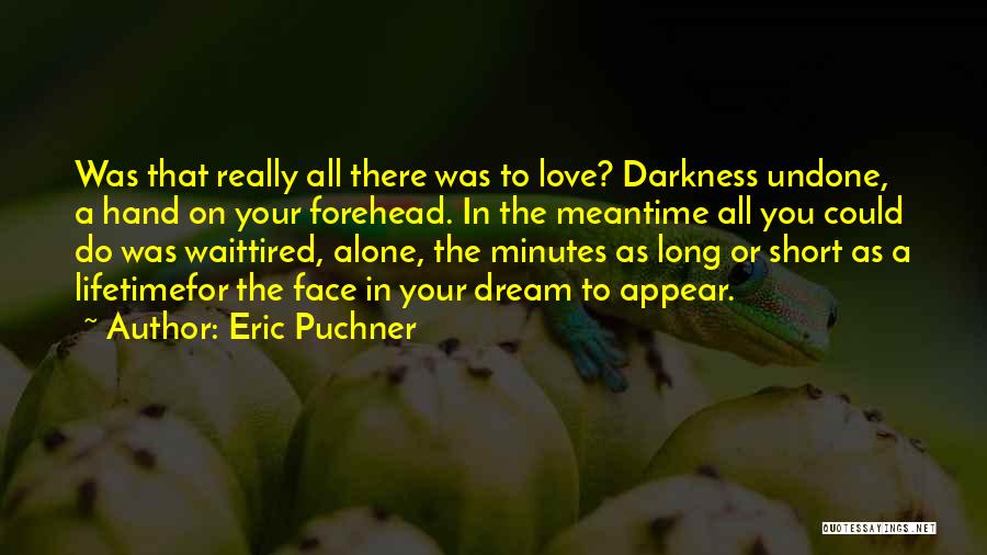 Eric Puchner Quotes: Was That Really All There Was To Love? Darkness Undone, A Hand On Your Forehead. In The Meantime All You