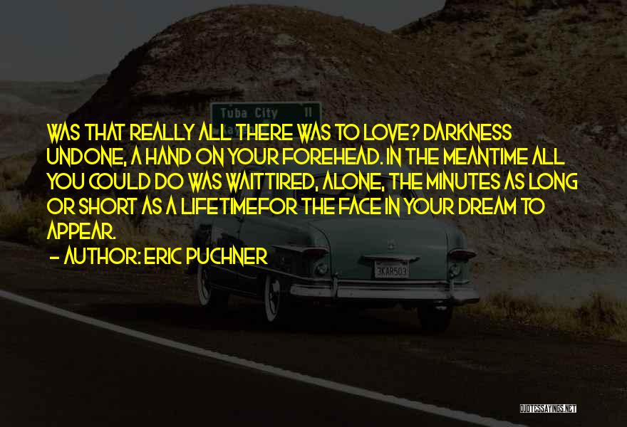 Eric Puchner Quotes: Was That Really All There Was To Love? Darkness Undone, A Hand On Your Forehead. In The Meantime All You