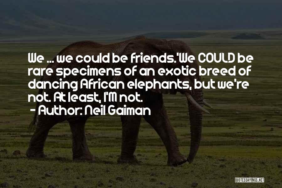 Neil Gaiman Quotes: We ... We Could Be Friends.'we Could Be Rare Specimens Of An Exotic Breed Of Dancing African Elephants, But We're