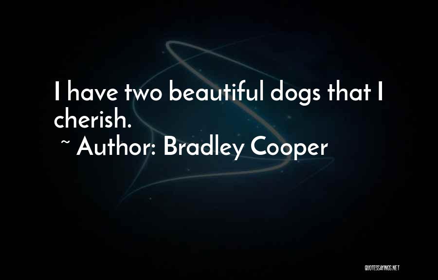 Bradley Cooper Quotes: I Have Two Beautiful Dogs That I Cherish.