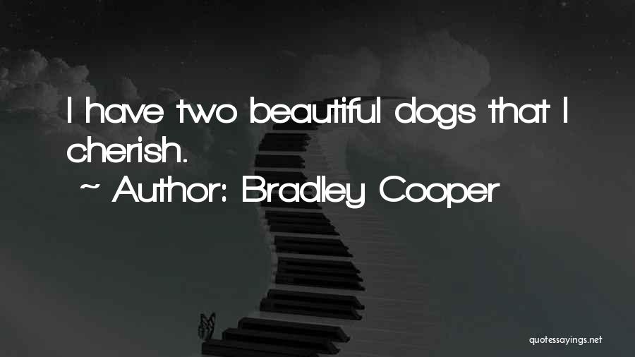 Bradley Cooper Quotes: I Have Two Beautiful Dogs That I Cherish.