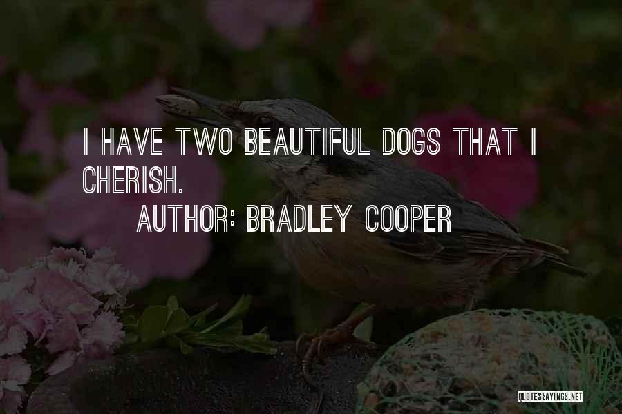 Bradley Cooper Quotes: I Have Two Beautiful Dogs That I Cherish.