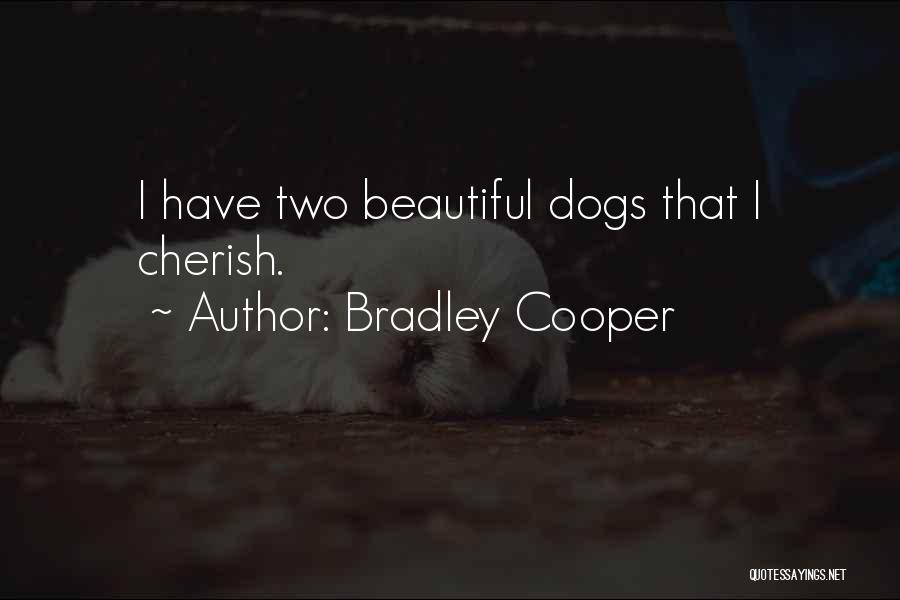 Bradley Cooper Quotes: I Have Two Beautiful Dogs That I Cherish.