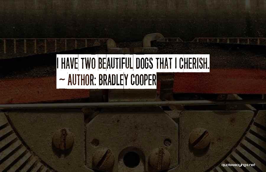 Bradley Cooper Quotes: I Have Two Beautiful Dogs That I Cherish.