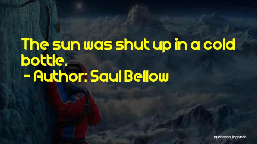 Saul Bellow Quotes: The Sun Was Shut Up In A Cold Bottle.