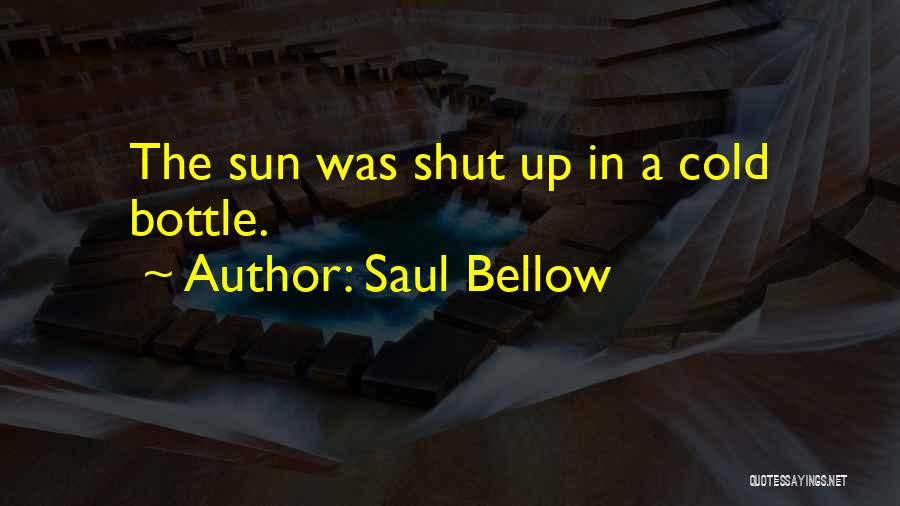 Saul Bellow Quotes: The Sun Was Shut Up In A Cold Bottle.