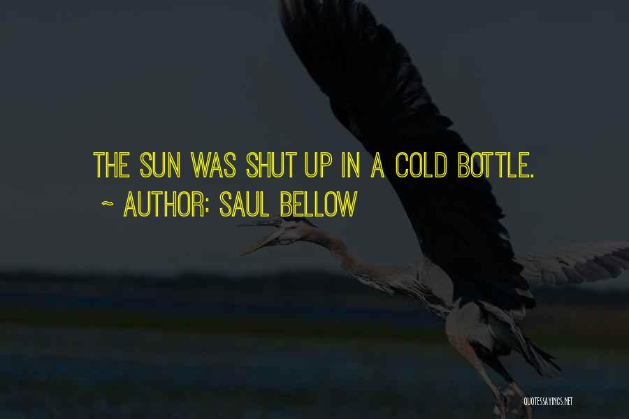 Saul Bellow Quotes: The Sun Was Shut Up In A Cold Bottle.